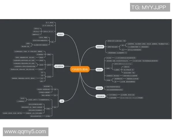 长运娱乐代码规范制定的原则与实施方案探讨