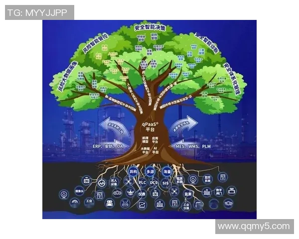 红桃国际数字身份系统助力全球数字化转型与安全认证新纪元