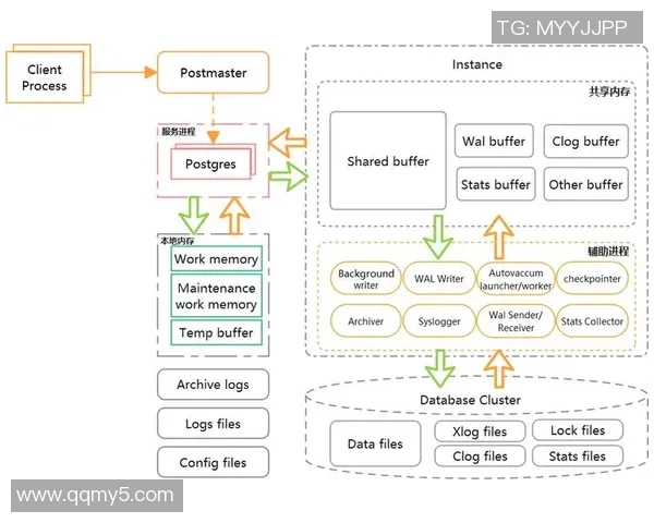 探索pg国际流式分析引擎的创新应用与未来发展趋势