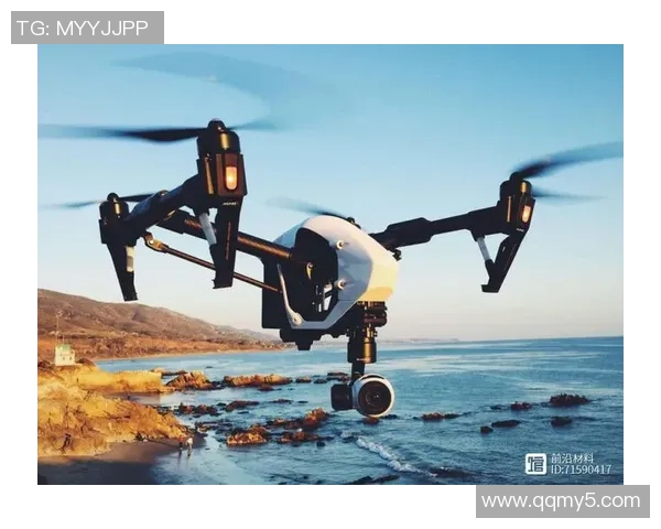 红桃国际在对抗性机器学习领域的创新探索与应用实践分析