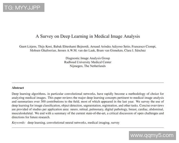 红桃国际在对抗性机器学习领域的创新探索与应用前景分析