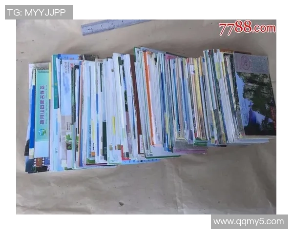 48支球队最终表现评估从A到F的全面分析与排名解读